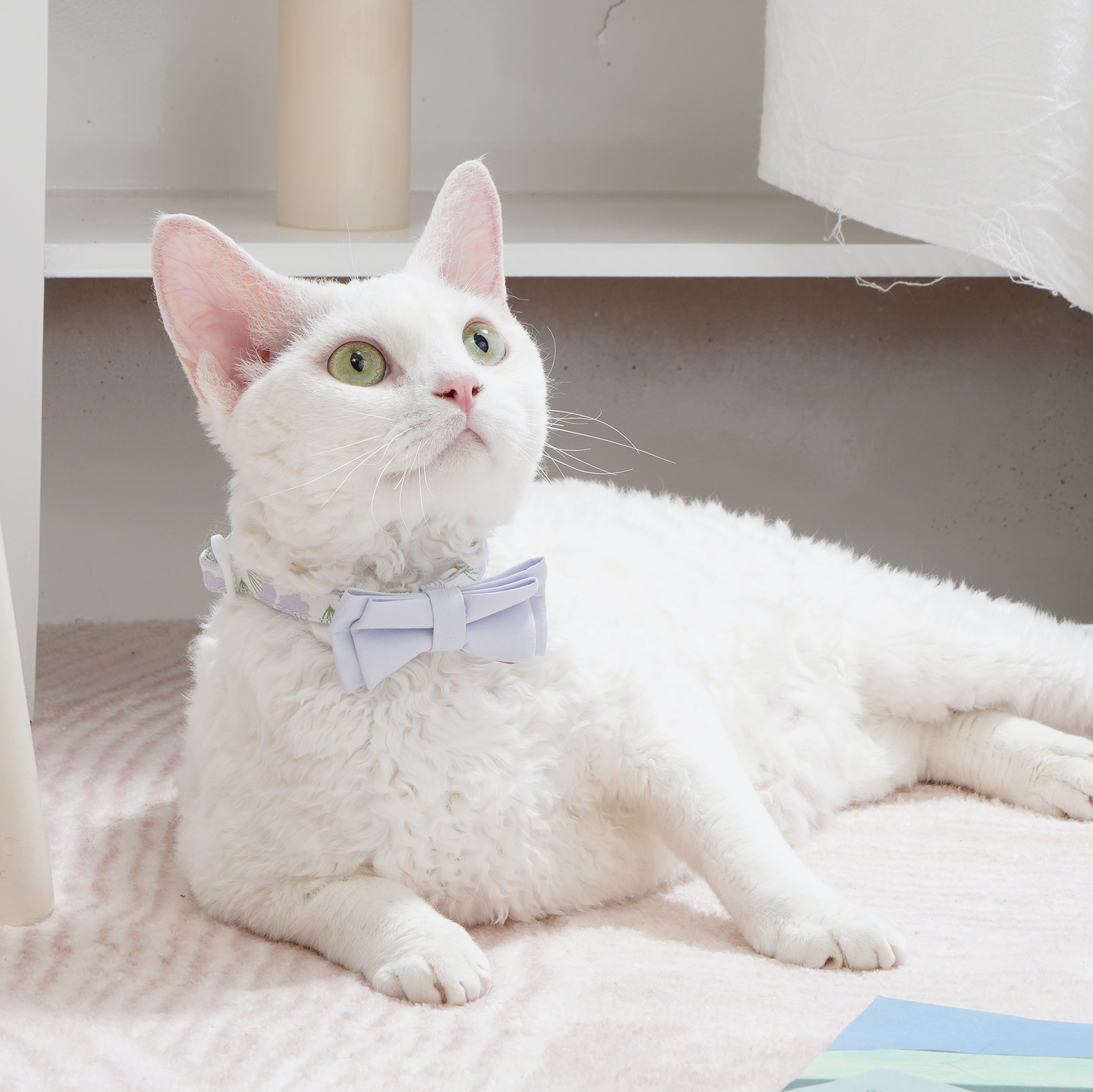 Upgraded Cat Collar with Bells and Bow Tie, Safe Breakaway, Dandelion