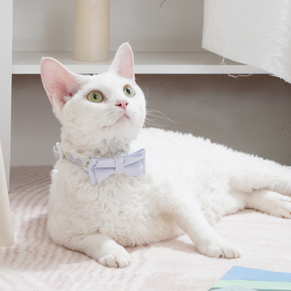 Upgraded Cat Collar with Bells and Bow Tie, Safe Breakaway, Dandelion