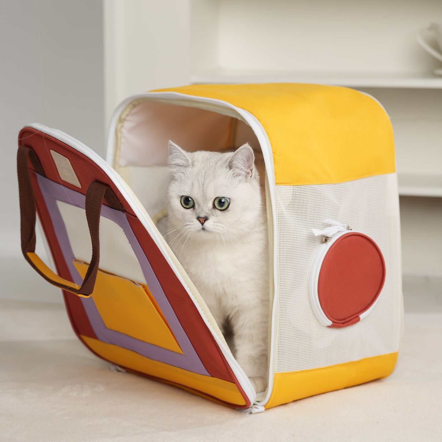 3 Colors Available Little Color Box Pet Carrier Backpack