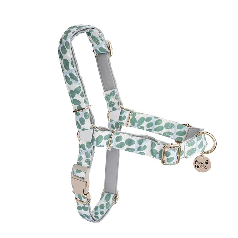 Pulling Stop Dog Harness, Easy Walk&Take Control-Minty Dew