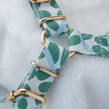 Pulling Stop Dog Harness, Easy Walk&Take Control-Minty Dew