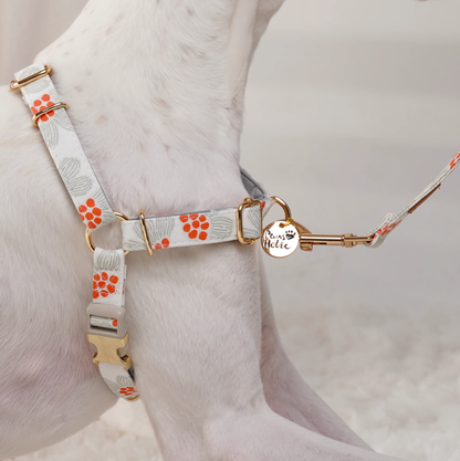 Pulling Stop Dog Harness, Easy Walk&Take Control-First Snow