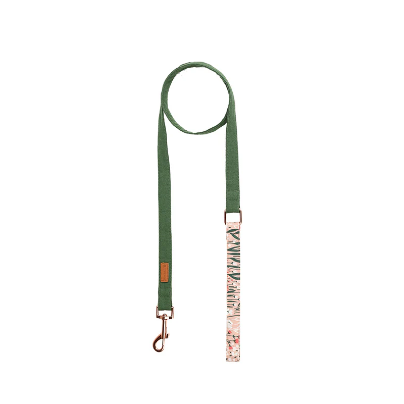 Dog Collar, Robust and Durable Design-Pink Candy