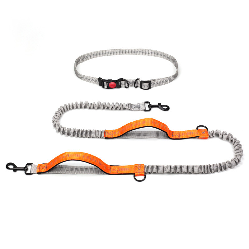 Outdoor Running Reflective Double Telescopic Dog Leash